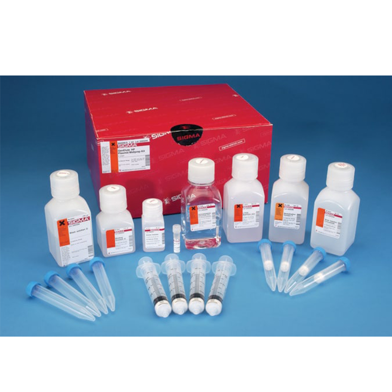 Plasmid Purification